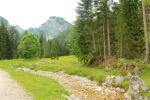 2014-07-05_Laengental-N-Hochweg (370). JPG